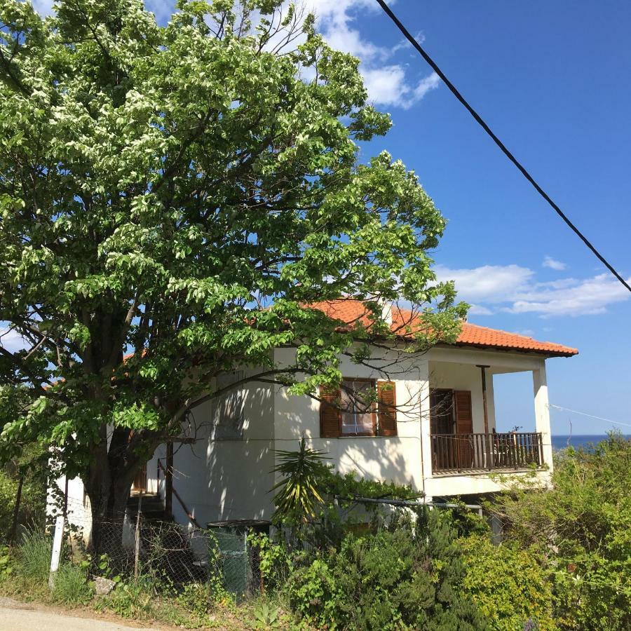 The Country House Koutsoupia Kokkino Nero ภายนอก รูปภาพ