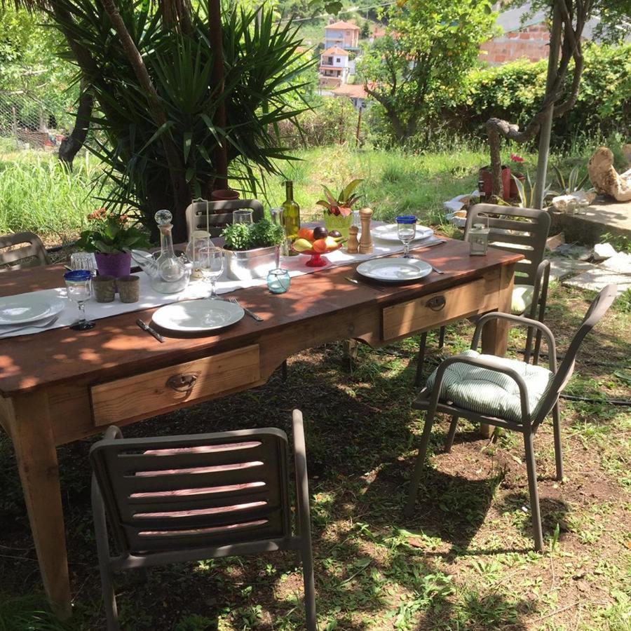 The Country House Koutsoupia Kokkino Nero ภายนอก รูปภาพ